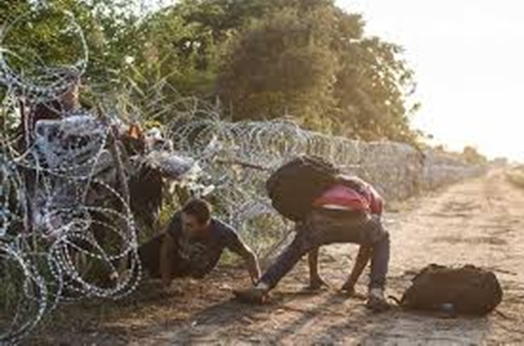 МВР: Оградата по границата с Турция е пробита на четири места