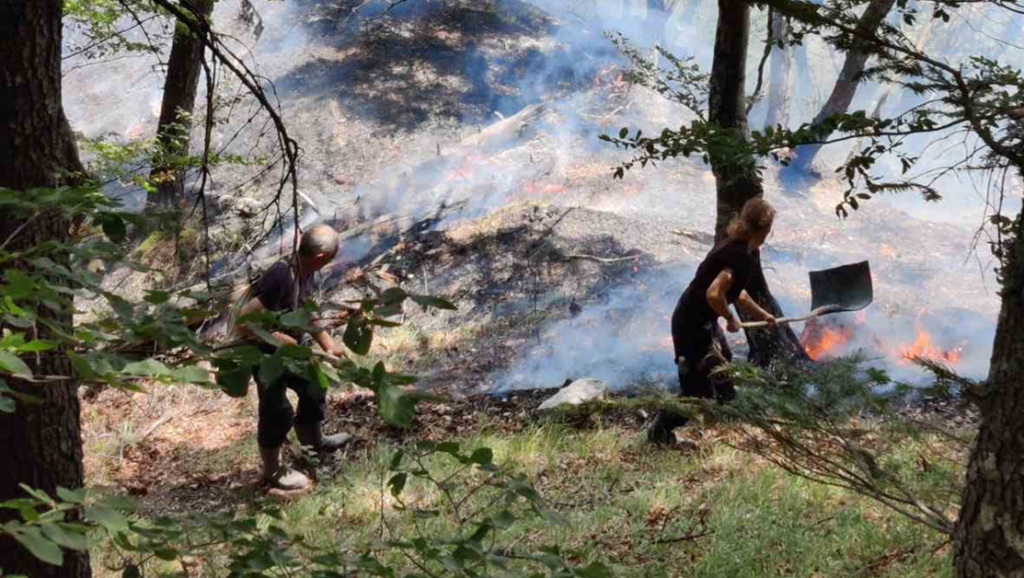 Няма край: Пожар избухна в района на Беклемето в Стара планина / ВИДЕО+СНИМКИ